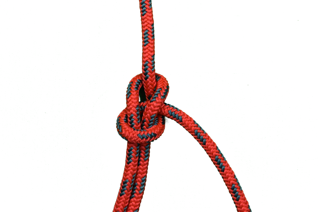 Bowline Knot Step 6 by Comtrain